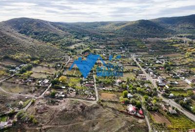 Teren de 3044 mp, în Niculițel - 11