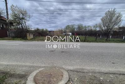 Teren de 6504 mp, în Curtișoara - 4