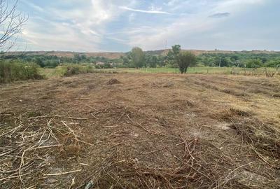 Casă cu 6 camere în Sprâncenata - 4