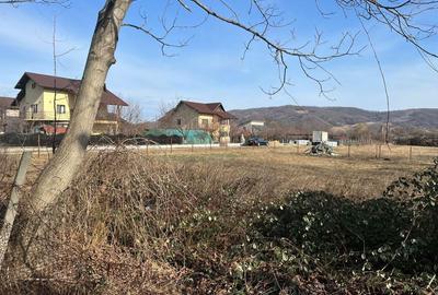 Teren de 863 mp, în Vălenii de Munte - 3