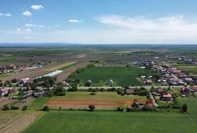 Teren intravilan de 1.900 mp | Decebal | La doar 3,5 km de Satu Mare - 5