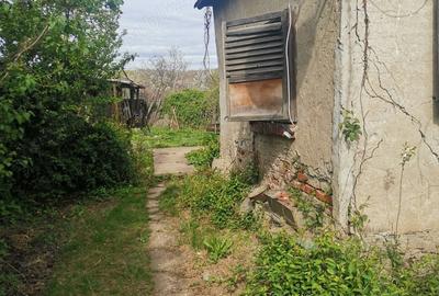 Casă cu Teren 1600 Mp în Dumbrăvești - 6