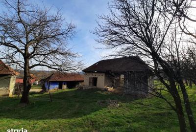 Teren de 17800 mp, în Sâg - 2
