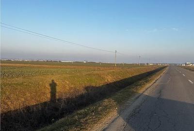 Teren de 5755 mp, în Nojorid