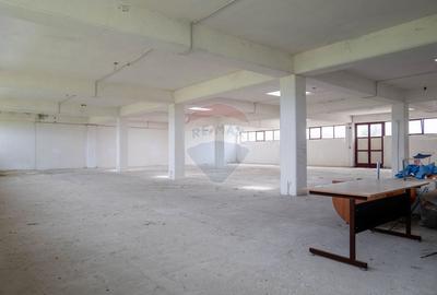 Oportunitate de investitie-vanzare spatiu industrial 6500mp, Cernica - 13