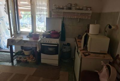 Casă cu 3 camere în Paleu - 8