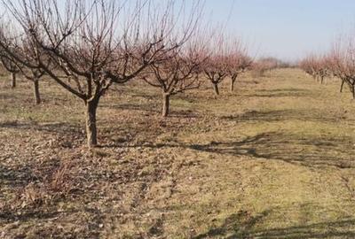 Spațiu comercial, în Central - 2
