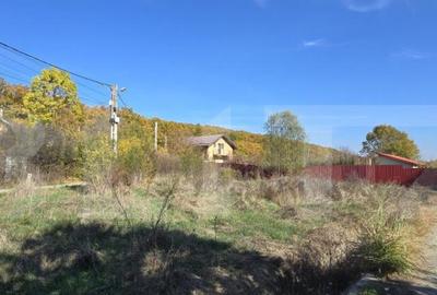 Oportunitate! Teren intravilan 1200 mp, Satul de Vacanta Pod - 4