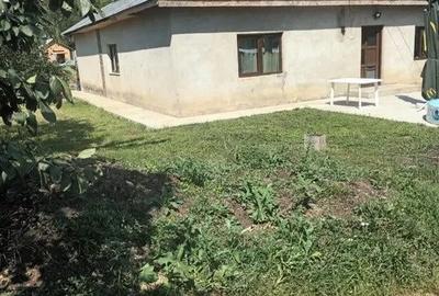 Casă cu 4 camere semidecomandat în Moisica - 1