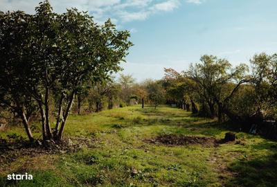 Casă cu 4 camere cu Teren 1260 Mp în Valea Râmnicului - 1