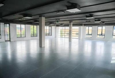 Birou ultramodern, 123 mp, prima inchiriere, zona Traian Vuia - 4