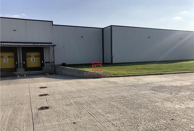 Depozit/hala/spatiu industrial Chiajna - A1 - Centura - 3