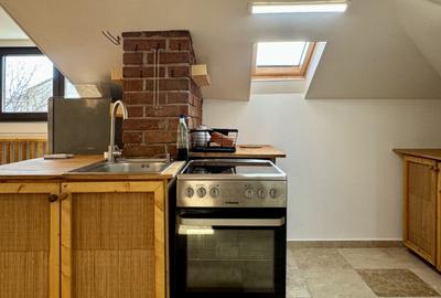 Loft Atipic | Luminos | Centrala Proprie | Terasa | Str. Ag - 11