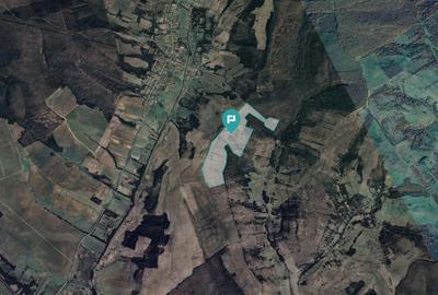 Teren agricol extravilan de 401200 mp, în Secaș - 2