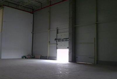 Spațiu comercial, de 4,000 mp, în Chitila