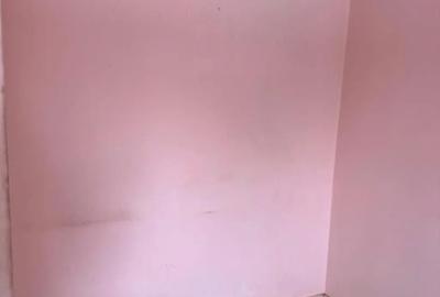 Apartament cu 2 camere semidecomandat în Rahova - 6