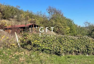 Teren intravilan 2700 mp/ Viisoara - 1