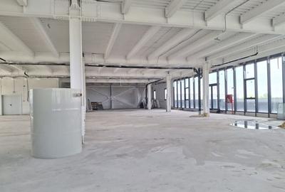 Spațiu comercial, de 900 mp, în Ștefăneștii de Jos - 9