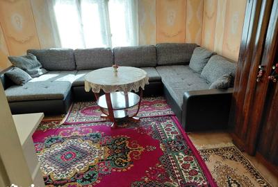 Casă cu 4 camere cu Teren 4327 Mp în Bârzava - 8