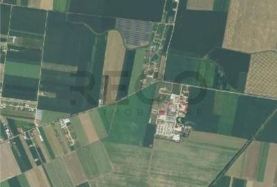 Teren de 8632 mp, în Nojorid - 5