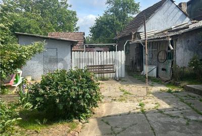 RECO casa batraneasca Sacueni RECO casa batraneasca Sacueni - 14