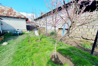 Casa+Teren aferent si Anexe, Str. Petresti - 13