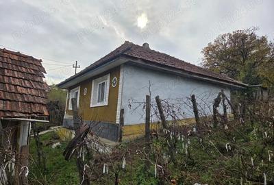 Vand casa si teren intravilan, Popesti, Vaslui - 2