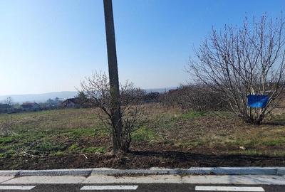 Teren de 3300 mp, în Țigănași - 4