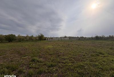 Teren de 793 mp, în Paleu - 6