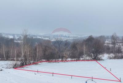 Teren intravilan de 500 mp, în Tohanu Vechi - 10