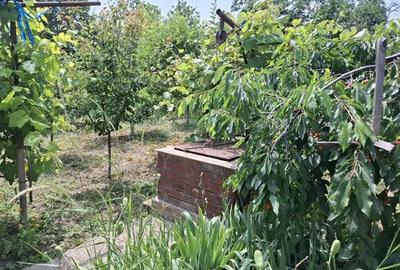 Casă cu 3 camere în Central - 6