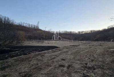 Teren de vanzare, 20.000Mp , Comuna Danes, drumul Crisului - 2