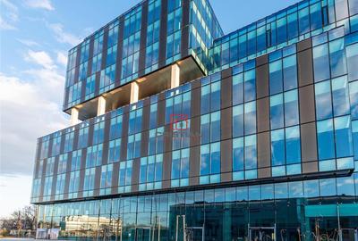 Birouri Cotroceni - Razoare, Bucuresti - 3