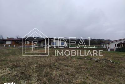 Spațiu comercial, în Roșia - 2