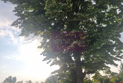 Teren de 2150 mp, în Bulbucata - 3