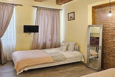 Zona Centrala Recent Renovat