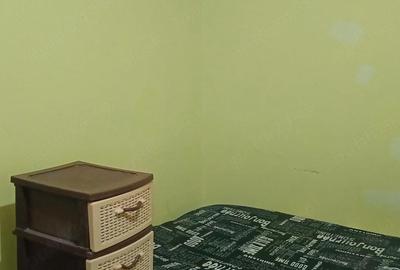 Garsonieră decomandată în Brazda lui Novac - 3