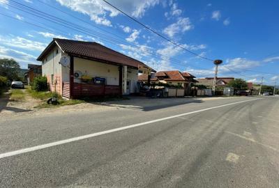 Oportunitate investi?ie in Turcine?ti la 2,5 km de Tg.Jiu Oportunitate investi?ie in Turcine?ti la 2,5 km de Tg.Jiu - 1