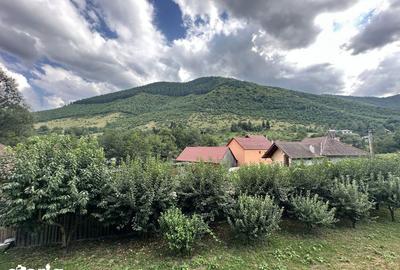 Casă cu 7 camere cu Canalizare în Gura Râului - 1