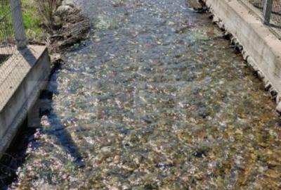 Casa P+E+M cu 4 camere, 250 mp si 3000 mp teren, zona Arcani - 20