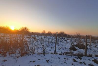 Teren la MARE, litoral, Steaua de Mare, Agigea, 400mp, PUZ, oportunitate, 29500E - 8