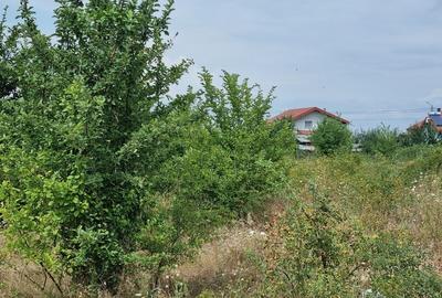 Vanzare Teren Rezidential 1 Decembrie Ilfov 35000mp - 7