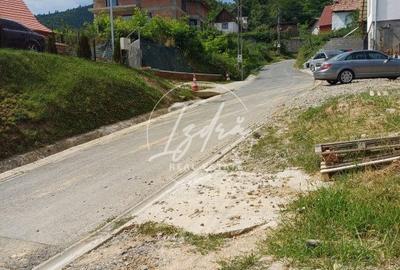 Teren intravilan de vanzare in Saliste - 9