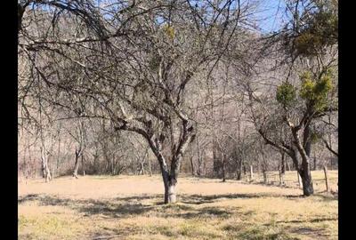 Teren de 2848 mp, în Aghireșu - 10