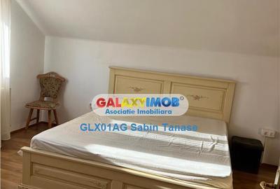 De inchirere vila Stefanesti Lidl ....curte amenajata ter - 5