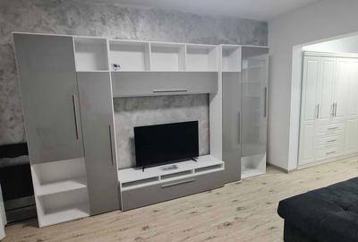 Apartament cu 2 camere semidecomandat în Sârbi - 3
