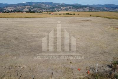 Teren Construcții intravilan de 44200 mp, în Vințu de Jos - 5