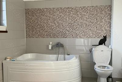 Casa individuala 4 camere - 1