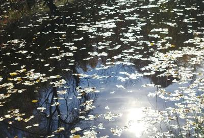 Casă cu 4 camere în Dealu Corbului - 2