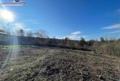 Teren de zona Bididia Tulcea - 11